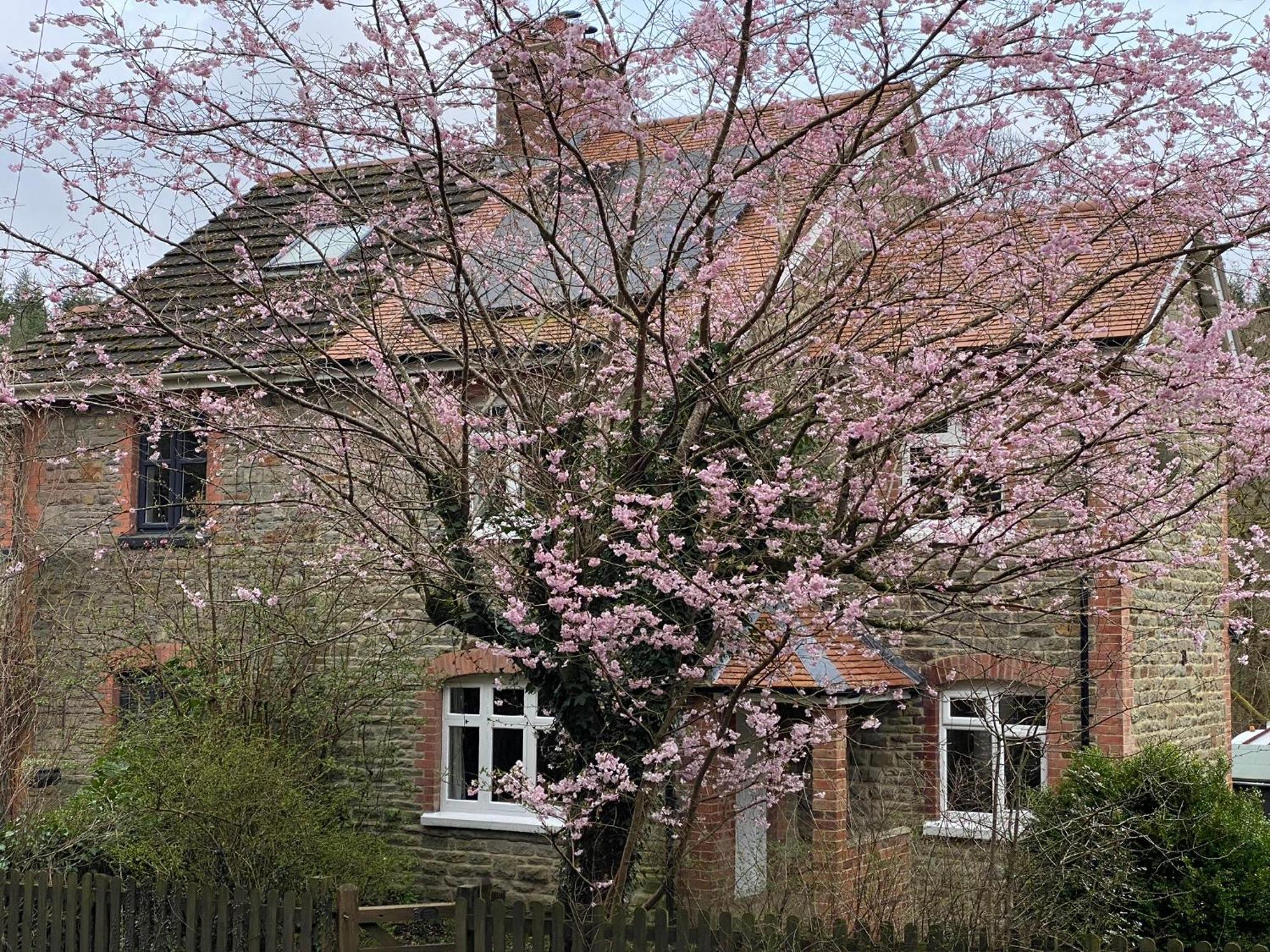 Willow Cottage Longney Bagian luar foto